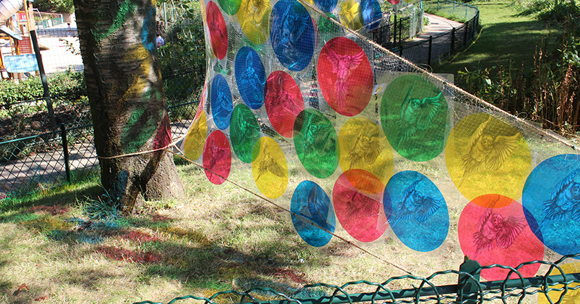 作品タイトル画像