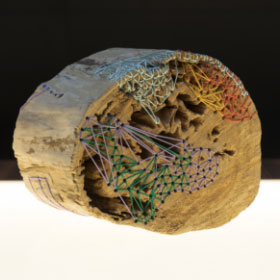 作品タイトル画像