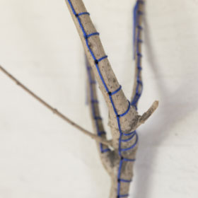 作品タイトル画像