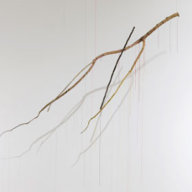 作品タイトル画像