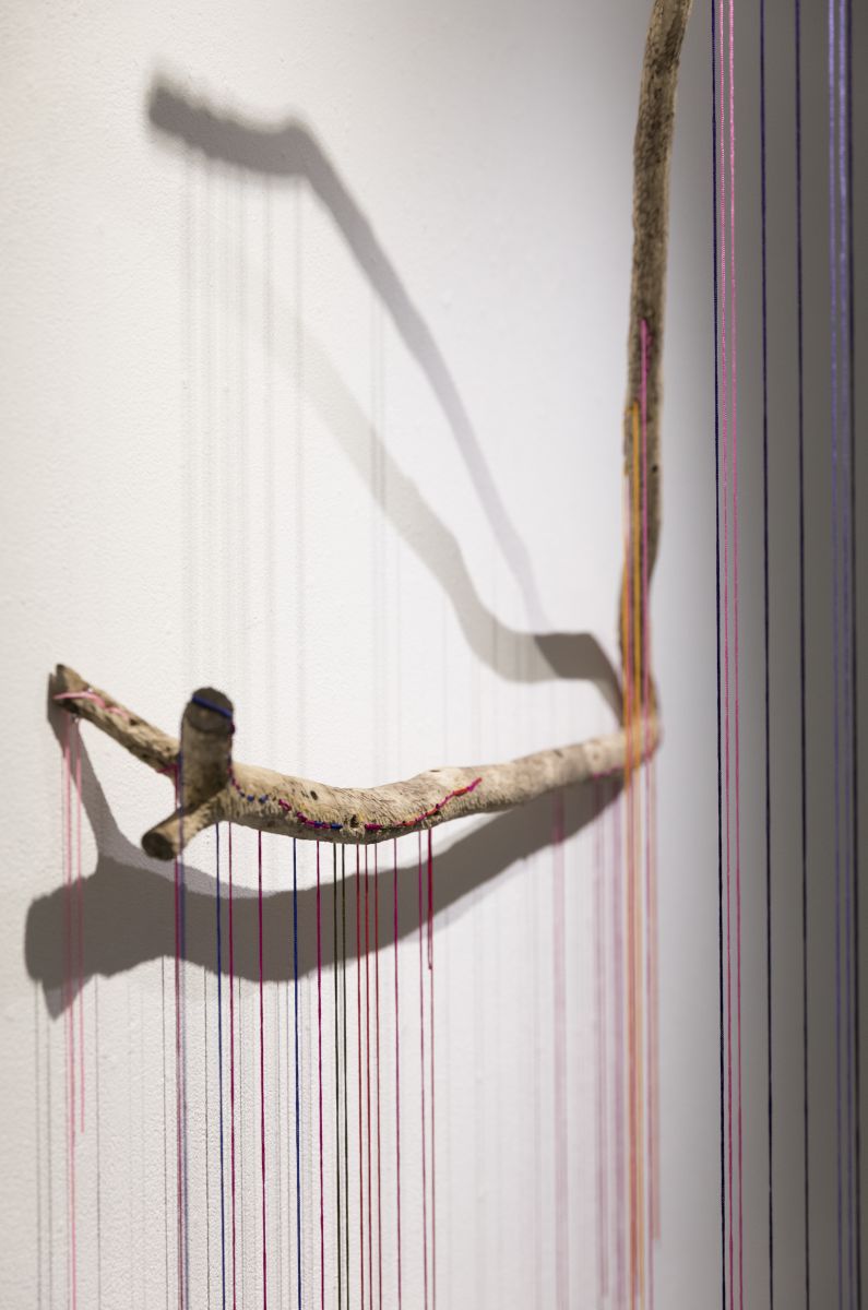 コールセレストゥ-2