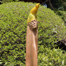 作品タイトル画像