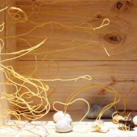 作品タイトル画像