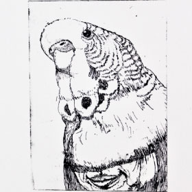 作品タイトル画像