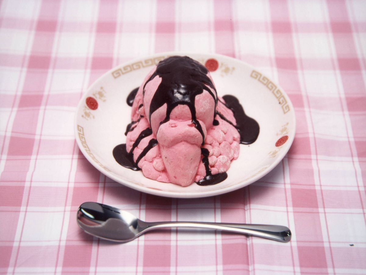 チョコレートがけインコアイス-1