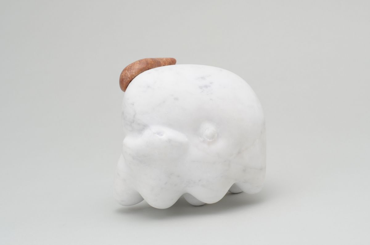 オカメインコ-2