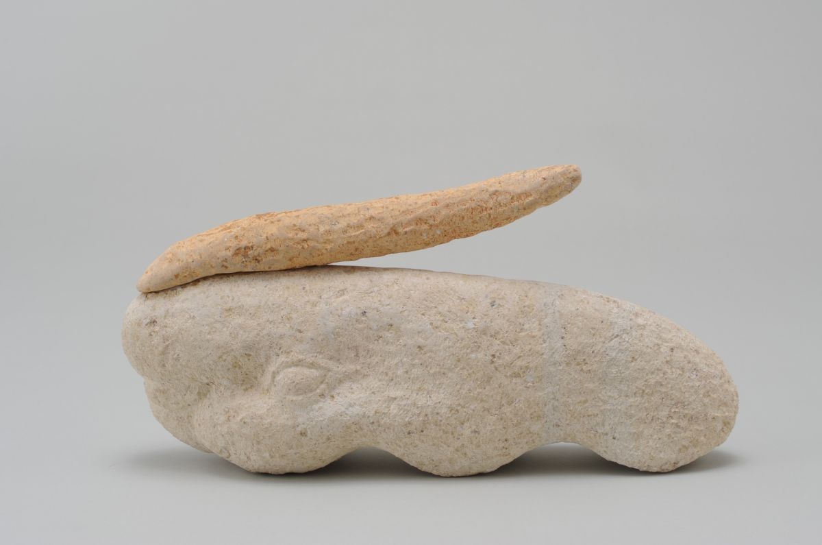 頭の伸びたオカメインコ-1