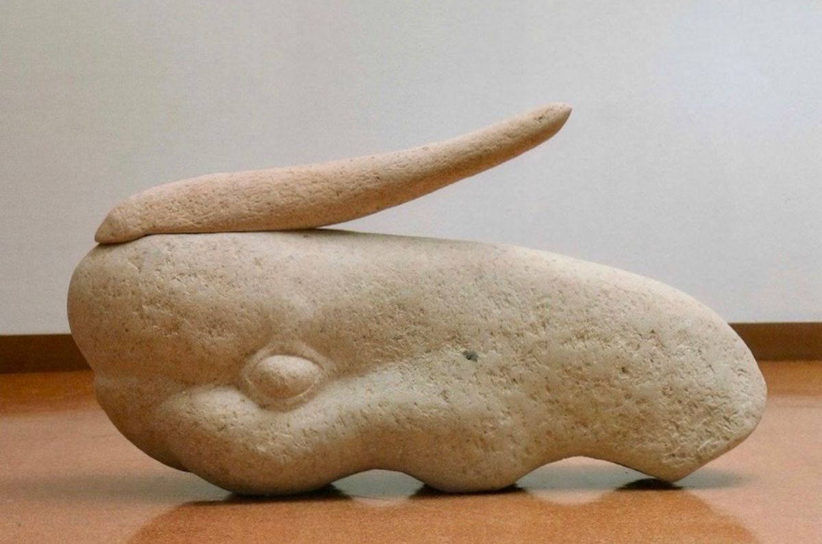 頭の伸びたオカメインコ-1